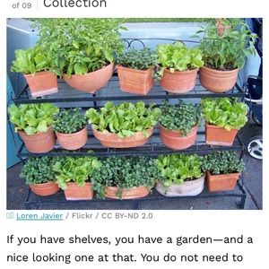 Meet your Posher, Susan